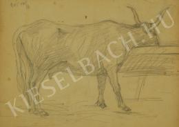 Pál Csúcs - Cow (1905)