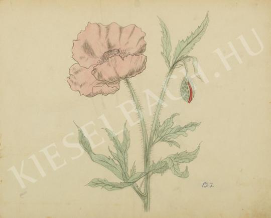  Barta, István - Red poppy (Pear) painting