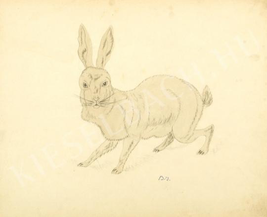  Barta, István - Rabbit painting