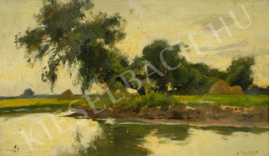 For sale  Edvi Illés, Aladár - Riverside landscape 's painting