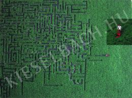 Karácsonyi, László - Unofficial Labyrinth (2011)