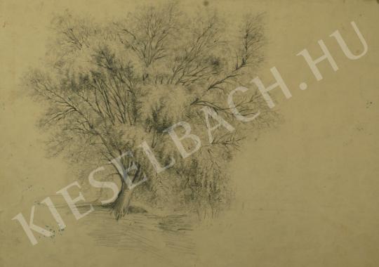  Mednyánszky, László - Tree at the lakeshore painting