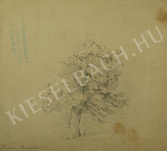  Mednyánszky, László - Pinetree (Study) painting