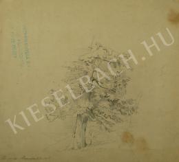  Mednyánszky, László - Pinetree (Study) (1861)