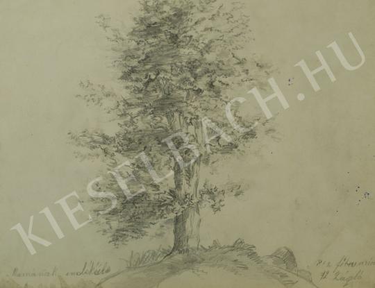  Mednyánszky, László - For Mum as souvenir (Tree-study) painting