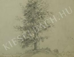  Mednyánszky, László - For Mum as souvenir (Tree-study) (1862)