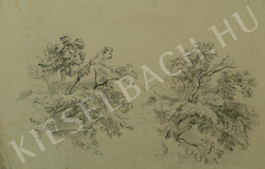  Mednyánszky, László - Oak (Study for tree-top) painting