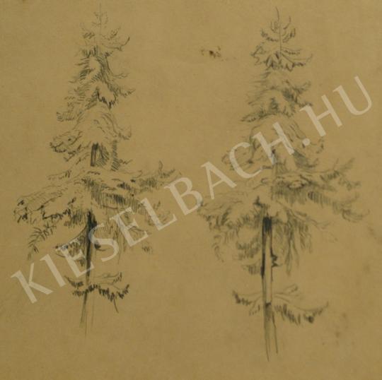  Mednyánszky, László - Pine tree (Study) painting