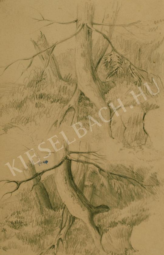  Mednyánszky, László - Study of a tree (Roots in the Tatra) painting