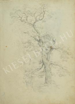 Kelety Gusztáv - Nagy fa (Fatanulmány) (1870-es évek)