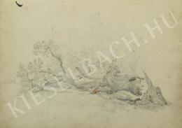 Kelety Gusztáv - Kidőlt fa (Fatanulmány) (1870-es évek)