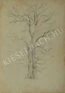 Kelety Gusztáv - Kopár fa (Kettős fa) (1870-es évek)