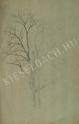 Kelety Gusztáv - Vázlat (Feketekérgű) (1870-es évek)