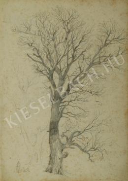 Kelety Gusztáv - Pihenők az ősfánál (1870-es évek)