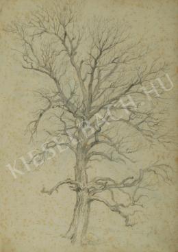 Kelety Gusztáv - Lombos fa a Svábhegyen (1870-es évek)