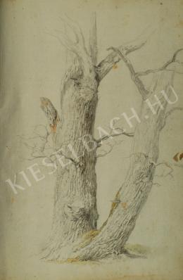 Kelety Gusztáv - Mohás fatörzs (1870-es évek)