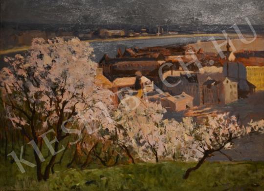 For sale Várady, Gyula - Flowering Trees at Gellért Hill (Lágymányos and the Danube) 's painting