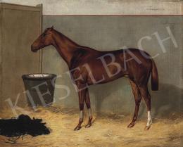 Reichmann, Franz - Testőr - a barna ló 