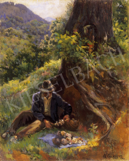 Krizsánné Csikós, Antónia - Picnic on the Virághegy (hill of Nagybánya) 