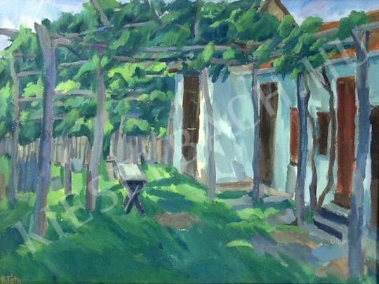 Tóth, László, V. - Backyard painting