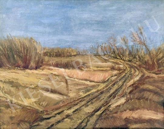 Tóth, László, V. - Stormy Land painting