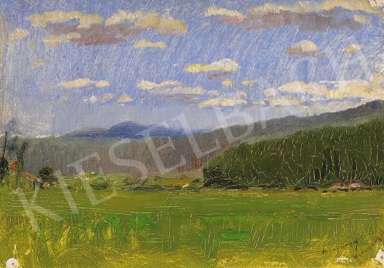  Mednyánszky, László - Spring field | 11th Auction auction / 48 Lot