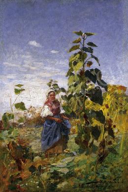 Bihari, Sándor - Young wife among sunflowers 