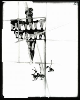 Moholy-Nagy, László - Structure of the World (1927/1994)
