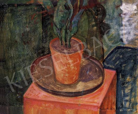  Gábor, Móric - Plant in a red pot | 8th Auction auction / 145 Lot