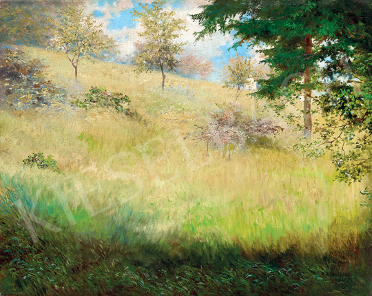 Hegedüs, László - Impressionistic Landscape | 47th Autumn Sale auction / 48 Lot