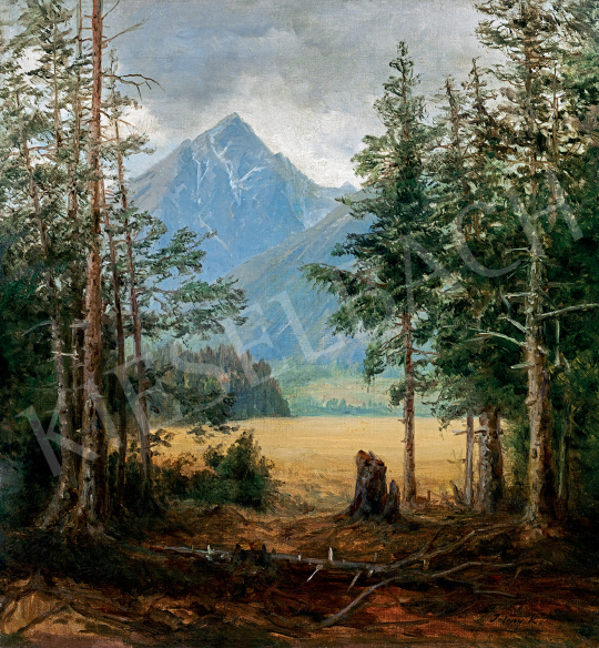 Telepy, Károly - Landscape in the Tatras (Koscielec) | 47th Autumn Sale auction / 77 Lot