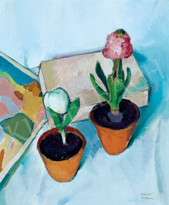 Jávor, Pál - Potted Plants | 47th Autumn Sale auction / 128 Lot