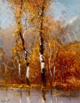 K. Spányi, Béla - Birch Trees (Autumn) 