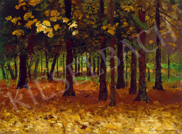 Katona, Nándor - Autumn Forest 