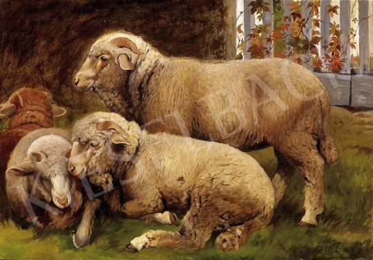 Pálinkás, Béla - Sheep | 8th Auction auction / 277 Lot