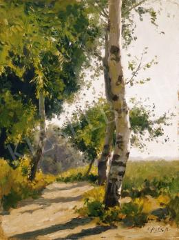  Edvi Illés, Aladár - Birch trees in Sunshine 