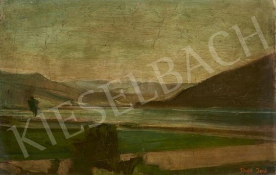 Török, Jenő - Landscape next to Danube painting