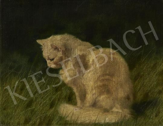 For sale Heyer, Artur, - Cat 's painting