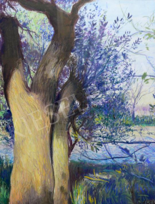  Ördög, László - Tree on the Lakeside painting