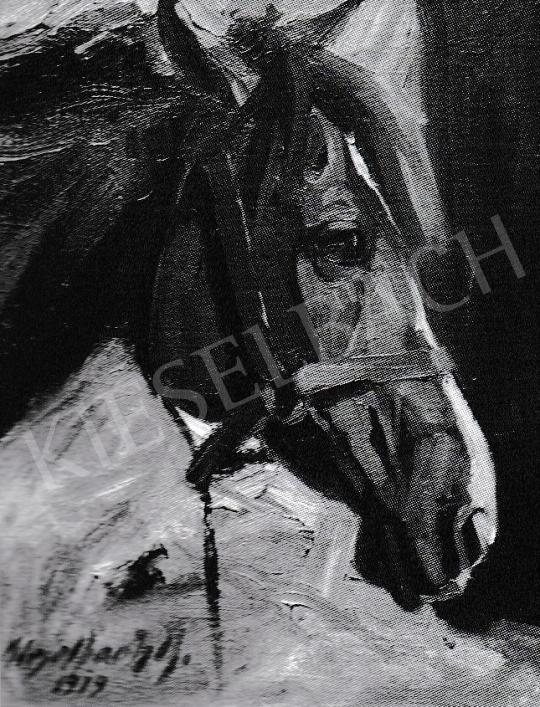  Kieselbach, Géza - Study of a Head of a Horse, 1919 painting