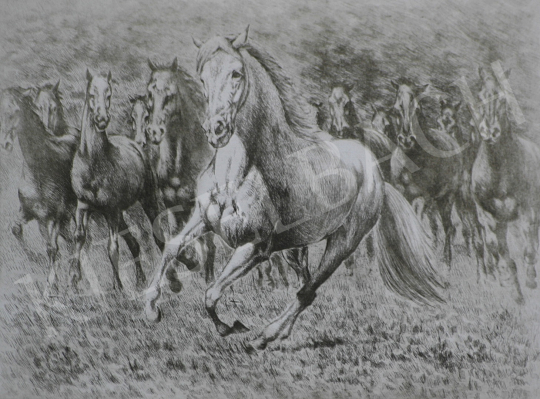 Unknown painter - Grey Horse painting