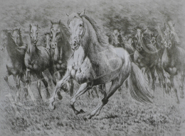 Unknown painter - Grey Horse 