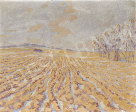  Hoppe, István - Early Spring painting