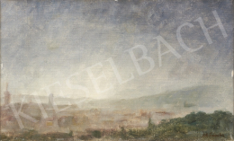  Ék, Sándor (Alex Keil) - View from Rosehill, in the background with Buda Castle 