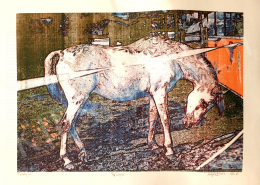  Magén, István - White Horse, 2002 