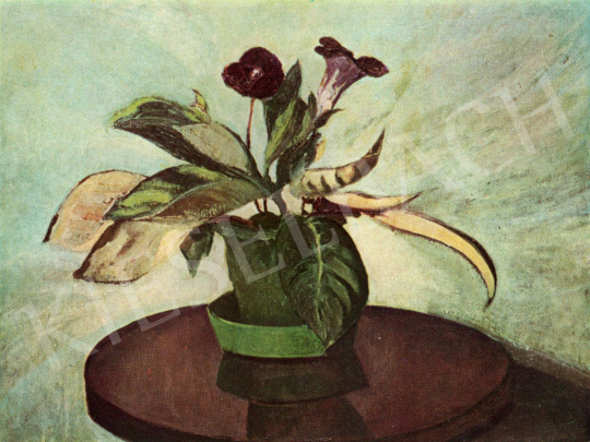 Orbán Dezső - Gloxinia, 1915 festménye