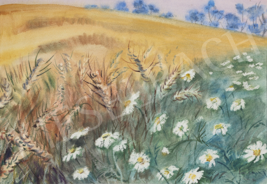 For sale  Lukács, Ágnes - Daisies near the Cornfield, 1987 's painting