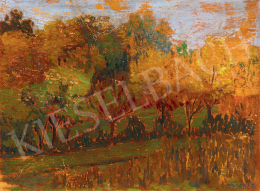  Sass Brunner, Erzsébet (Sass Brunner Ferencné - Sunlit Hill-Side 