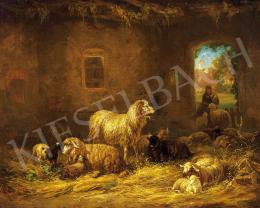 Reinhardt, Ludwig - Ismerkedés a bárányokkal 