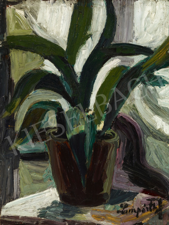  Nemes Lampérth József - Csendélet (Kaktusz), 1910 festménye